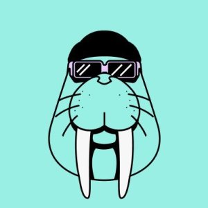 Walrus测试网交互-糖果空投